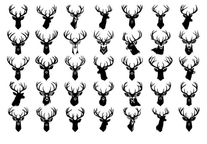 Hunting Deer Rifle Slings – Handtooled Deer Gun Slings - Image 7
